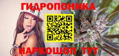 индика Тара