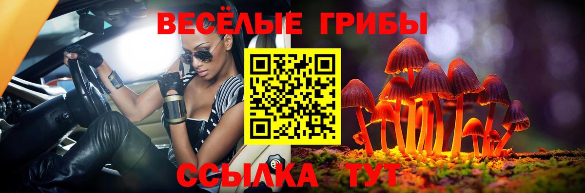 Туймазы  Псилоцибиновые грибы Psilocybine cubensis  Вход с VPN 
